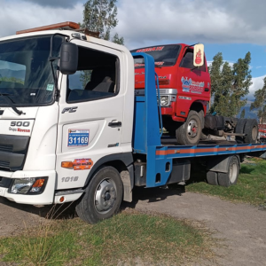 Gruas Jaime Roldos (4)
